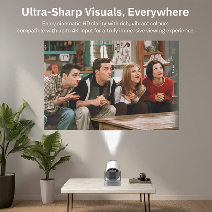 Miniflix - Home Theatre Experience